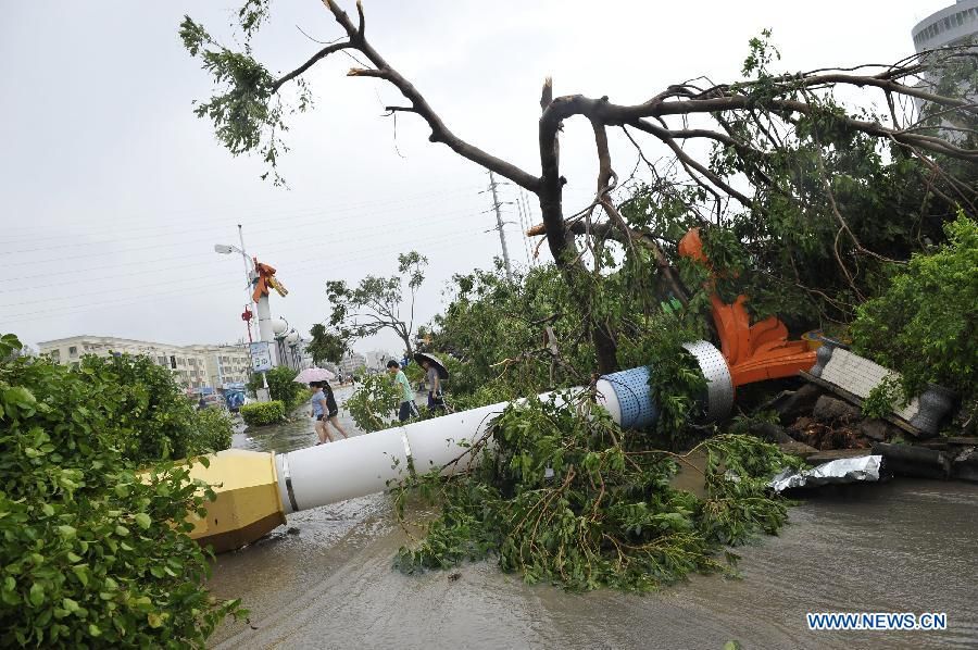 Фотосборник: мощные тайфуны за 2013 год