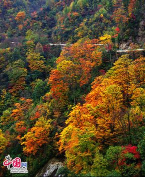 Природное очарование! Осенние пейзажи на горах Гуанъушань