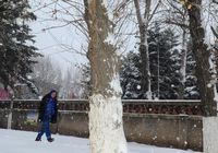 В городах Харбин и Чанчунь на северо-востоке Китая из-за снегопада отмены занятия в школах 