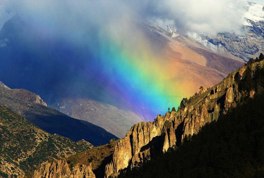 Лучшее с конкурса фотографии National Geographic 2013