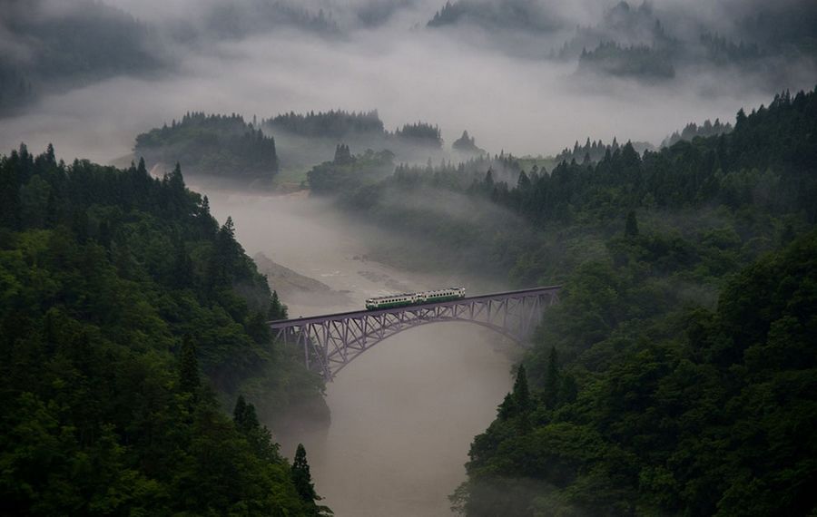 Лучшее с конкурса фотографии National Geographic 2013