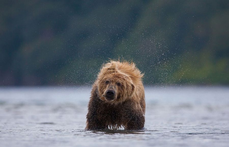 Лучшее с конкурса фотографии National Geographic 2013