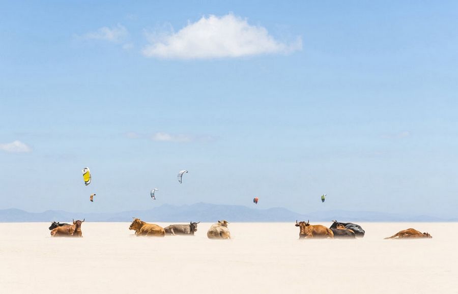 Лучшее с конкурса фотографии National Geographic 2013