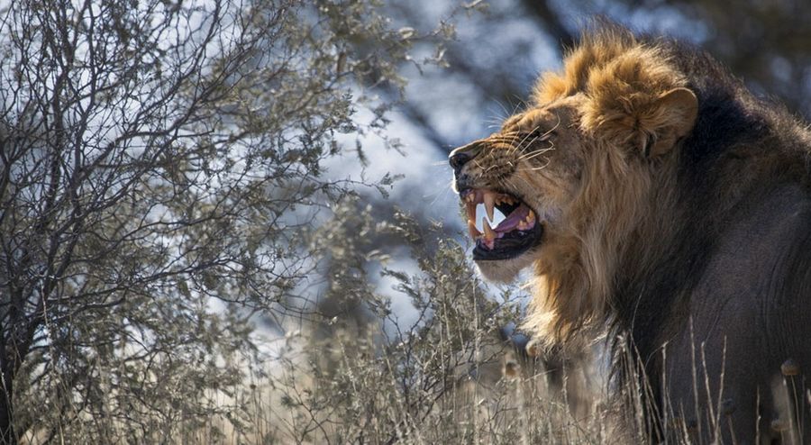 Лучшее с конкурса фотографии National Geographic 2013