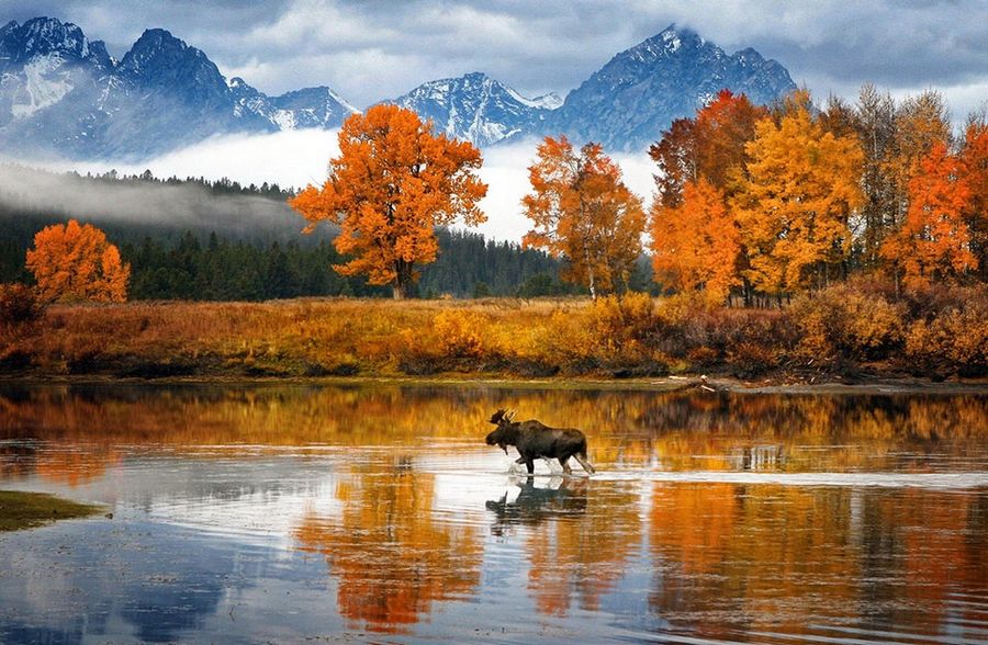 Лучшее с конкурса фотографии National Geographic 2013