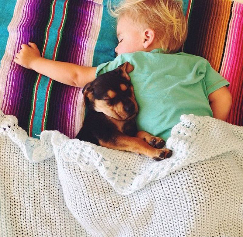 Малыш и собака: сон в объятьях друг друга