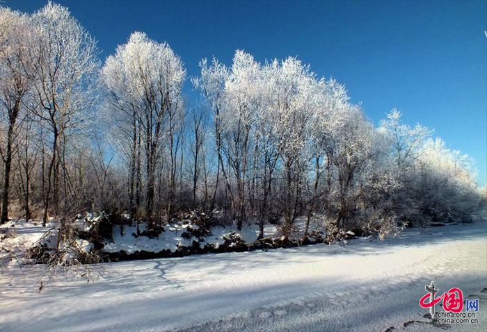 В районе Большого Хингана деревья покрылись снегом и инеем