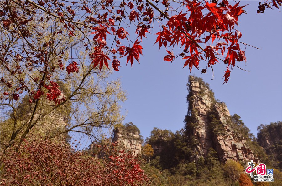 Очаровательные осенние пейзажи достопримечательности Улинъюань в городе Чжанцзяцзе