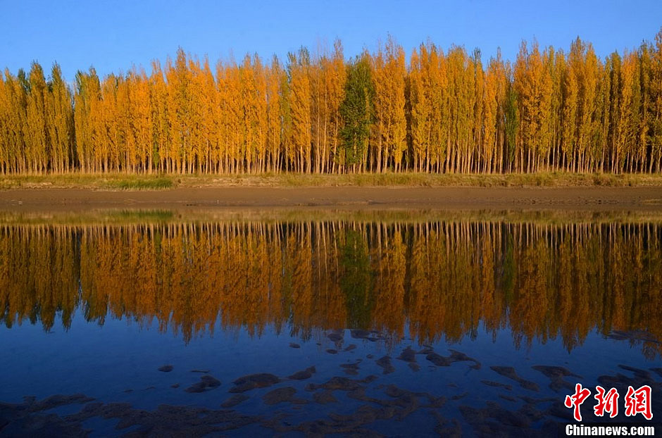 Красивые пейзажи у реки Кайдухэ в Синьцзян-Уйгурском автономном районе