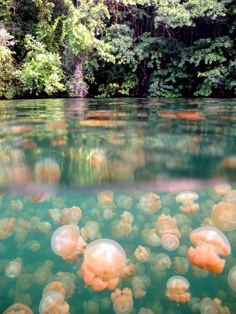 12 самых красивых водных пейзажей мира