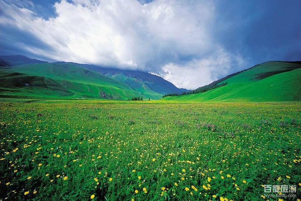 Красивые пейзажи степи Налати в Или-Казахском автономном округе СУАР