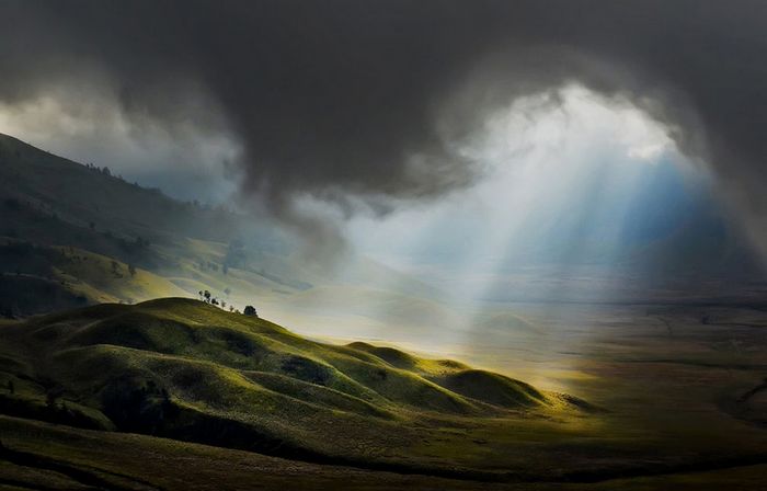 Лучшие работы фотовыставки «Национальная география»