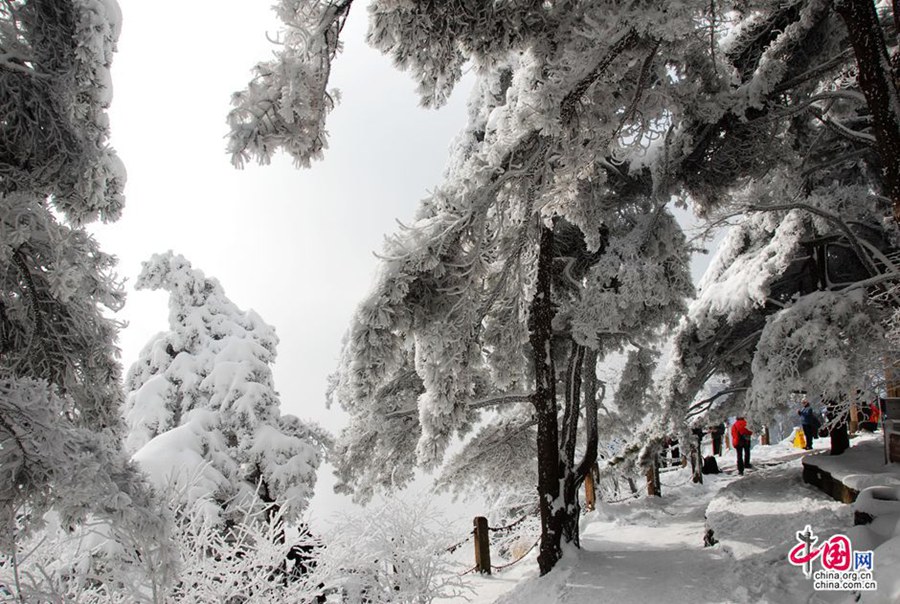 Снежные пейзажи в горах Хуаншань