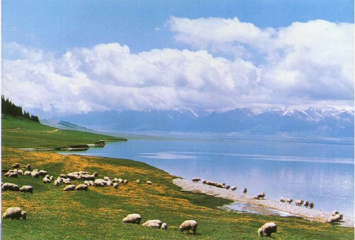 Очаровательная степь Танбула в Синьцзян-Уйгурском автономном районе