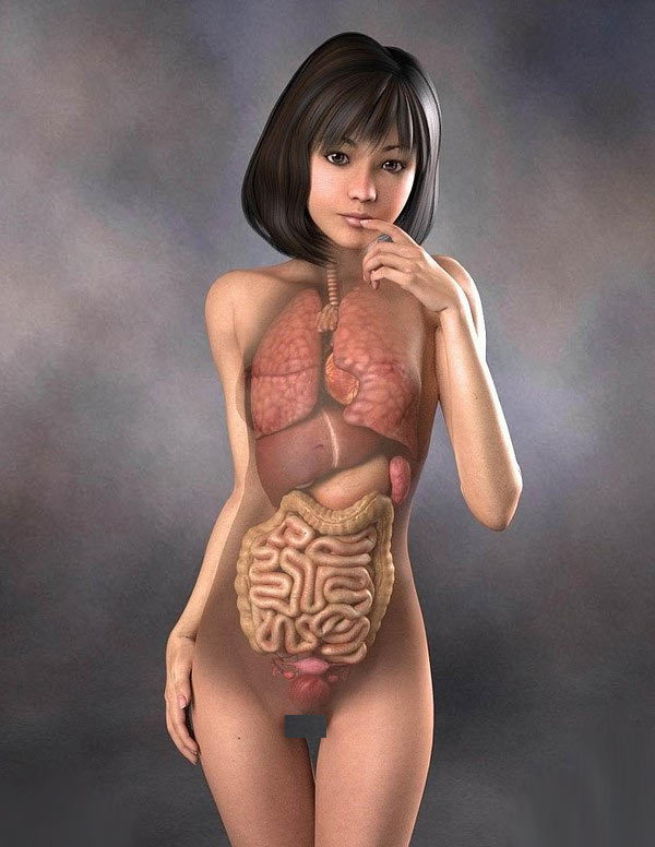 Уникальные анатомические картины Японии