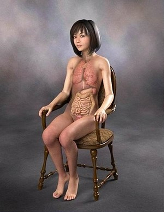 Уникальные анатомические картины Японии