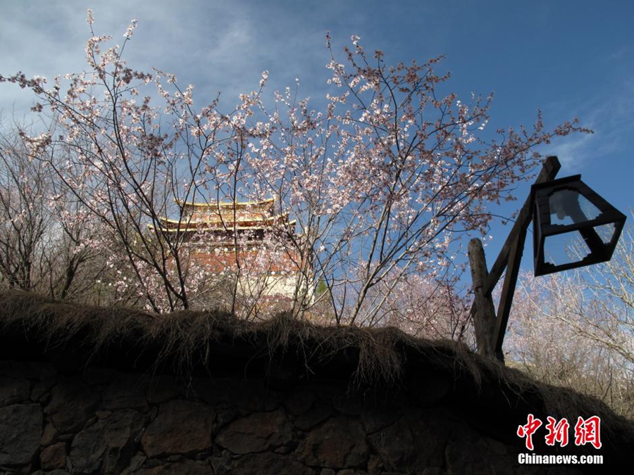 Фото древнего городка Дукэцзун уезда Шангри-Ла, пострадавшего от пожара
