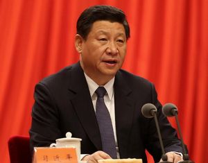 Си Цзиньпин призвал к сохранению жестокого надзора над коррупцию