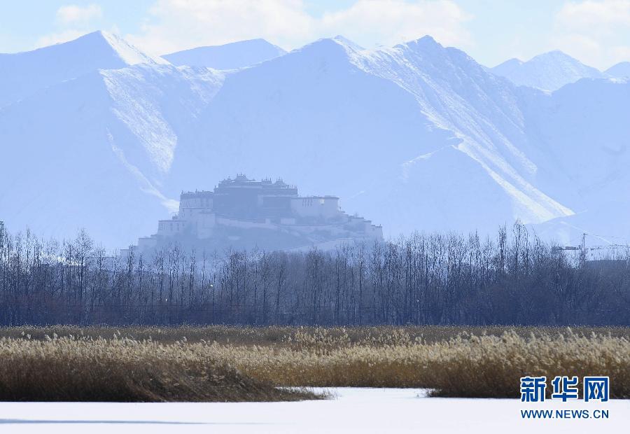 Величественные зимние пейзажи заболоченного места Лалу в Тибете