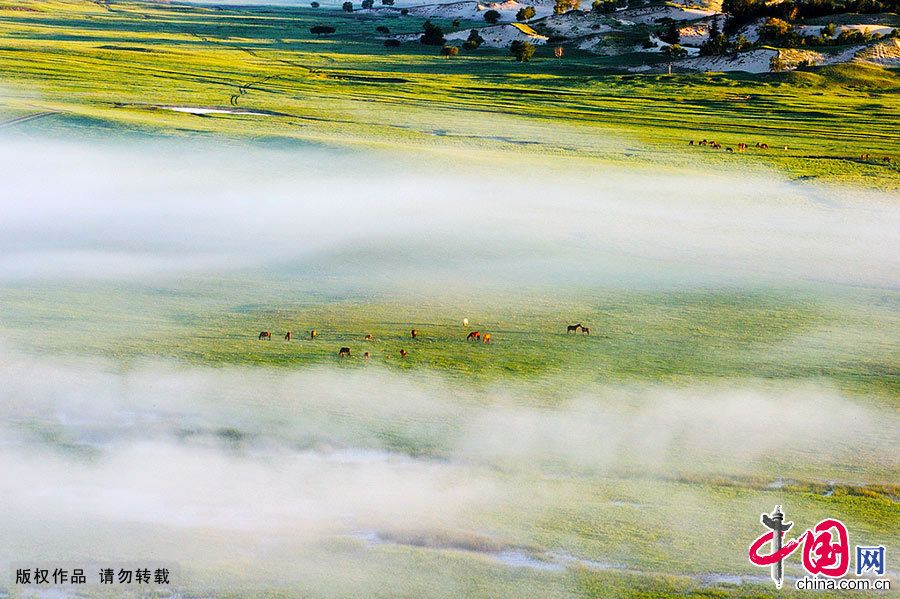 Красивые пейзажи государственного лесопарка Аршань во Внутренней Монголии