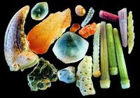 Красота! Песок под микроскопом