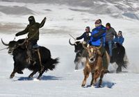 Туристический фестиваль льда и снега в Синьцзян привлекает туристов со всей страны 