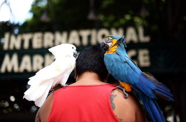 [Путешествие по миру] Лучшие туристические фотографии 2014 г.