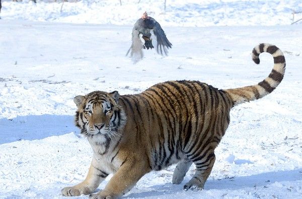 [Путешествие по миру] Лучшие туристические фотографии 2014 г.