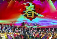 В Синьцзяне прошел концерт, посвященный Китайскому Новому году