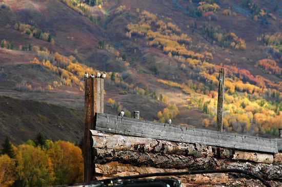 Село Байхаба на китайско-казахстанкой границе в СУАР