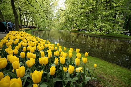 Романтическое весеннее путешествие в Нидерланды