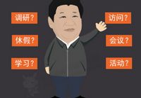 СМИ подводят итоги того ?на что ушло время Си Цзиньпина?: за год председатель совершил зарубежные визиты в 14 стран