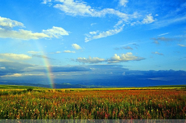 Очаровательные пейзажи в уезде Чжаосу СУАР