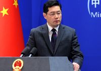Официальный представитель МИД КНР: террористы являются общими врагами всего человечества