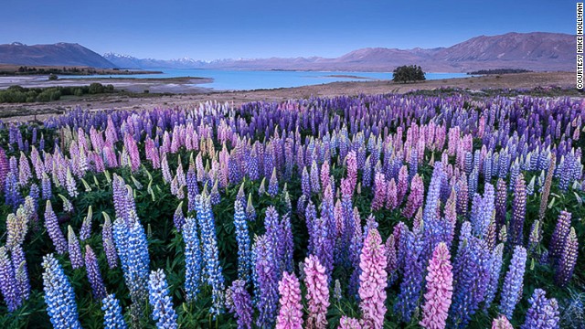 Красивейшие фото южного острова Новой Зеландии