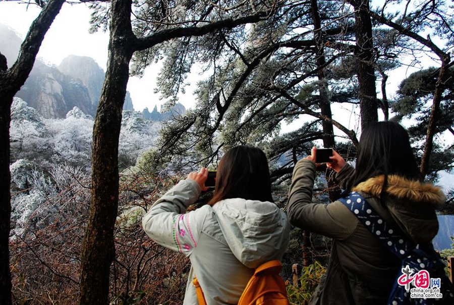 Весенняя изморозь в горах Хуаншань