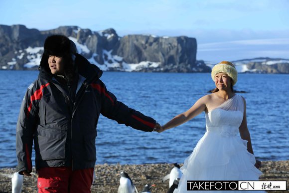 Пекинская пара сыграла свадьбу в Антарктике и получила поздравления политиков многих стран по Интернету