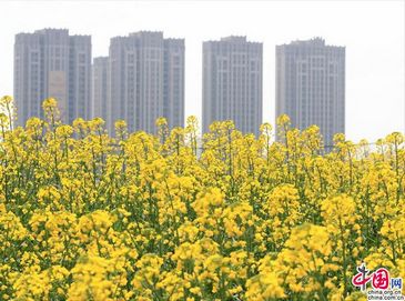 Ранняя весна в г. Шаосин провинции Чжэцзян 