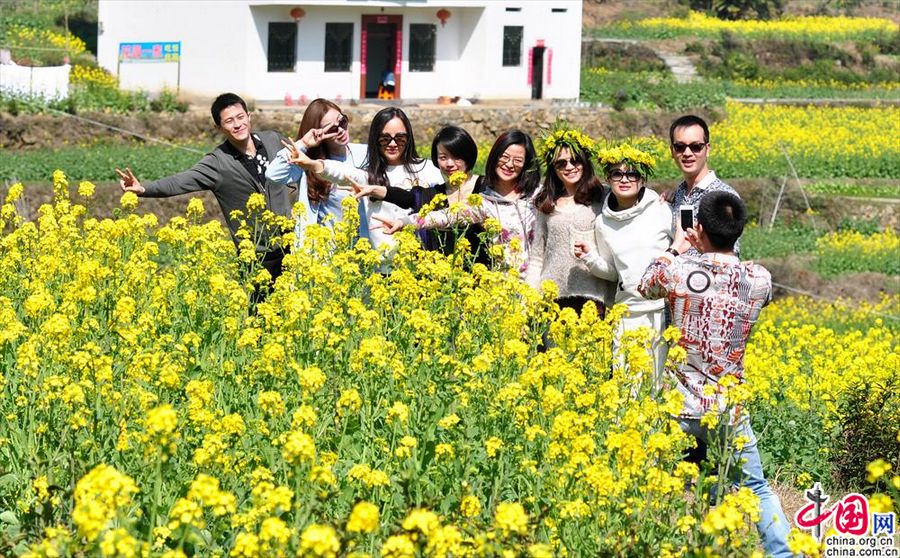 Красивые цветы рапса в селе Уюань провинции Цзянси