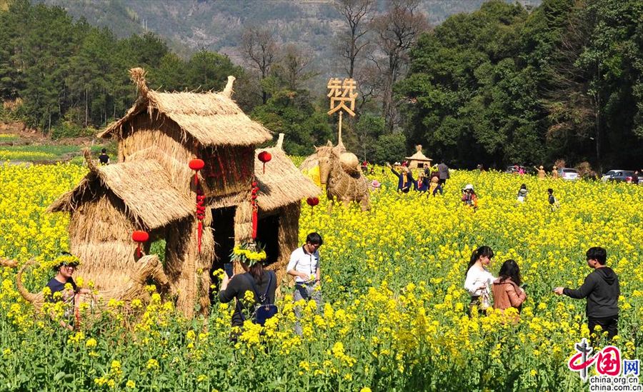 Красивые цветы рапса в селе Уюань провинции Цзянси
