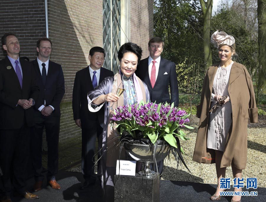 Пэн Лиюань в Нидерландах дала название новому сорту тюльпана 