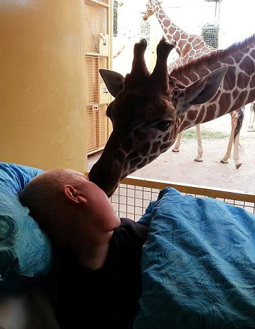 Умирая от рака, он попросил больницу перенести его койку в зону жирафов в зоопарке, чтобы проститься со знакомым другом.