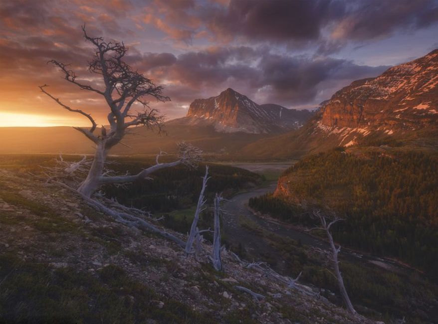 Замечательные американские пейзажи от фотографа Райана Диара(Ryan Dyar)