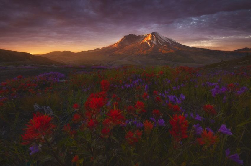 Замечательные американские пейзажи от фотографа Райана Диара(Ryan Dyar)