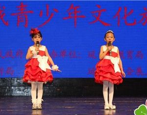 Китайско-российский молодежный фестиваль искусств 2014 открылся в Яньцзи