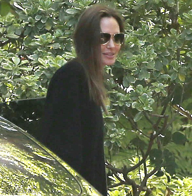 Брэд Питт и Анджелина Джоли наслаждаются загородной поезкой
