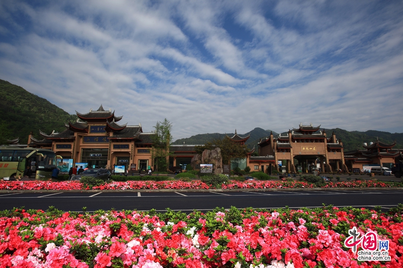 Апрель: лучшее время для любования цветами в горах Эмэйшань
