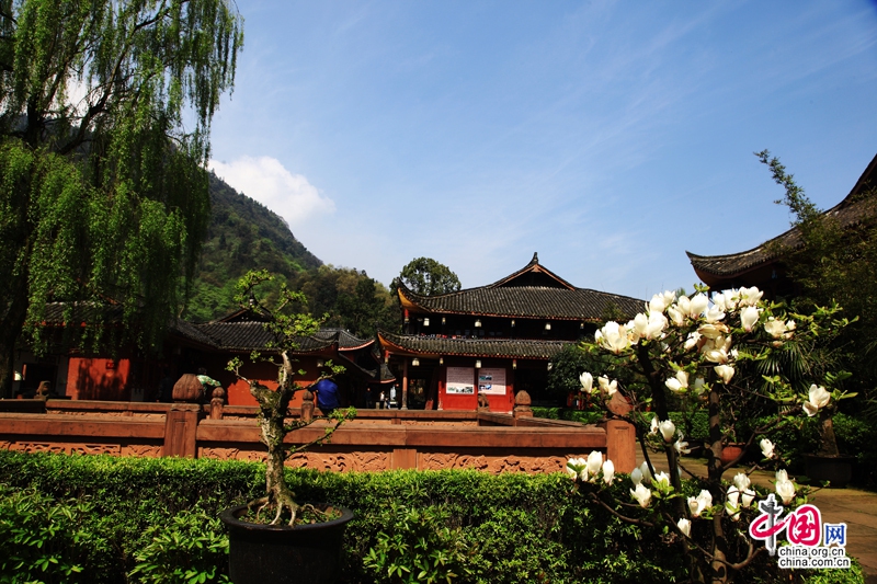 Апрель: лучшее время для любования цветами в горах Эмэйшань