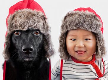 Малыш и его собака в забавной фотосессии