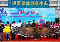 Пекинский фестиваль воздушных змеев-2014